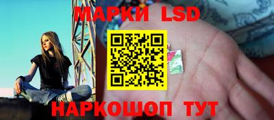 стафф Новозыбков
