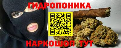 твердый Новокубанск