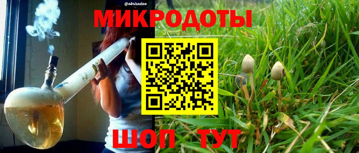 Галлюциногенные грибы Cubensis Чапаевск