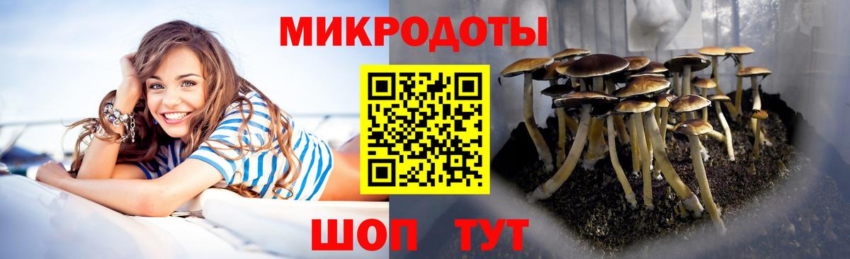 Чапаевск  Псилоцибиновые грибы мицелий  Вход с VPN 